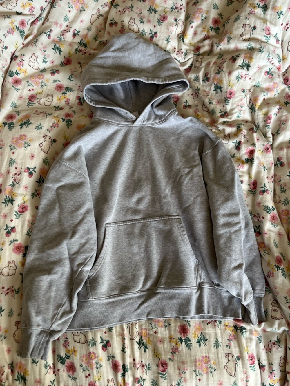 Tna sweatfleece cozy fleece boyfriend fit grey hoodie